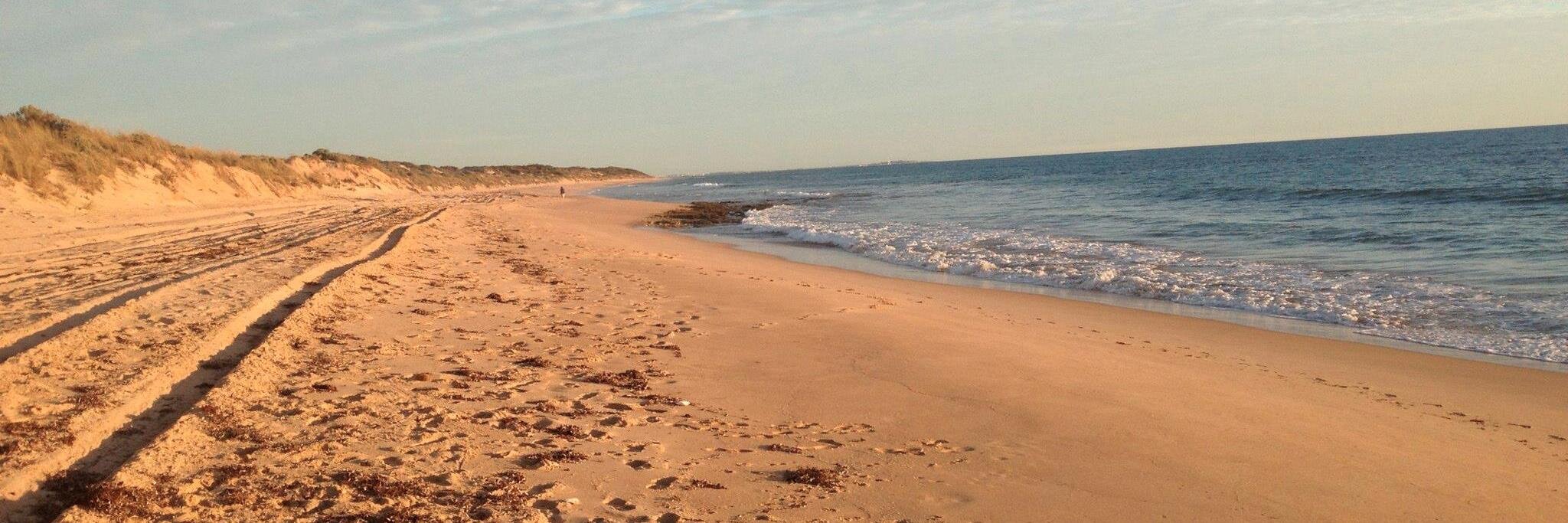 Dr Will Curvis banner