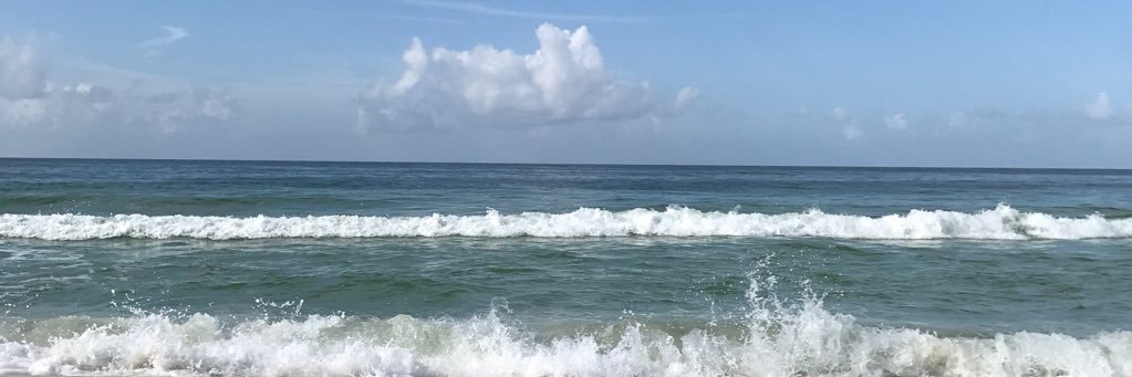 jackie1124's profile banner image