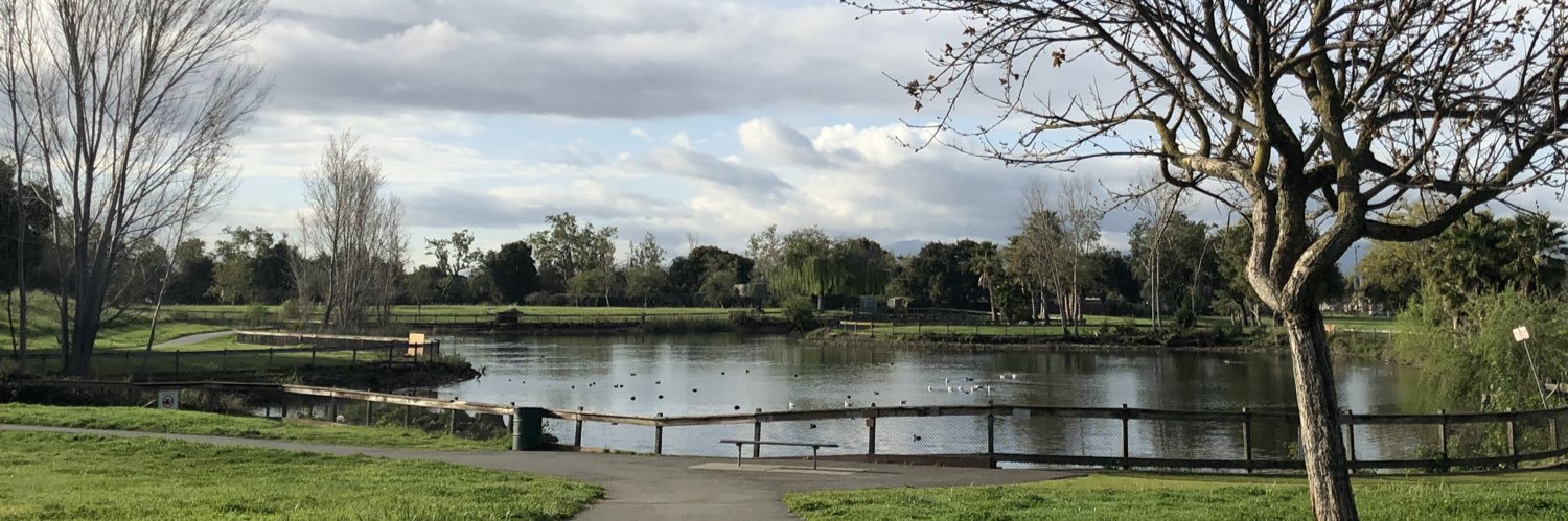 Dr. Roxane Fuentes banner