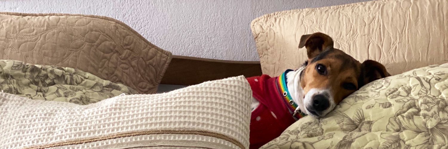 Micatofay's profile banner image