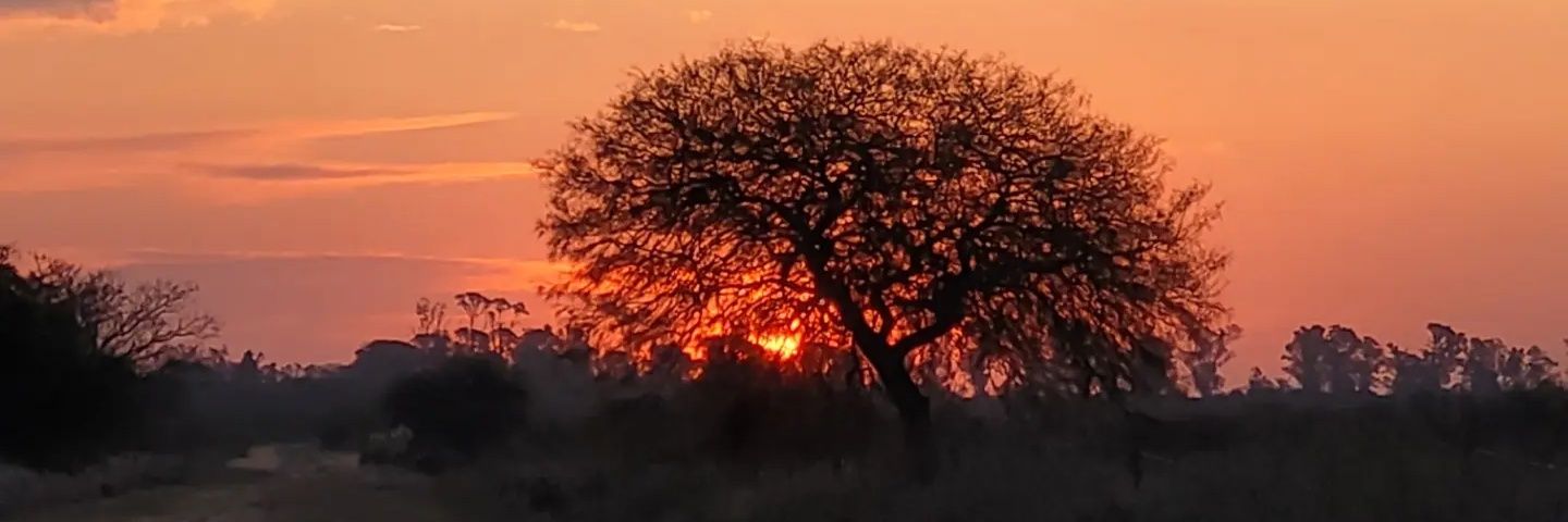 carloncho3's profile banner image