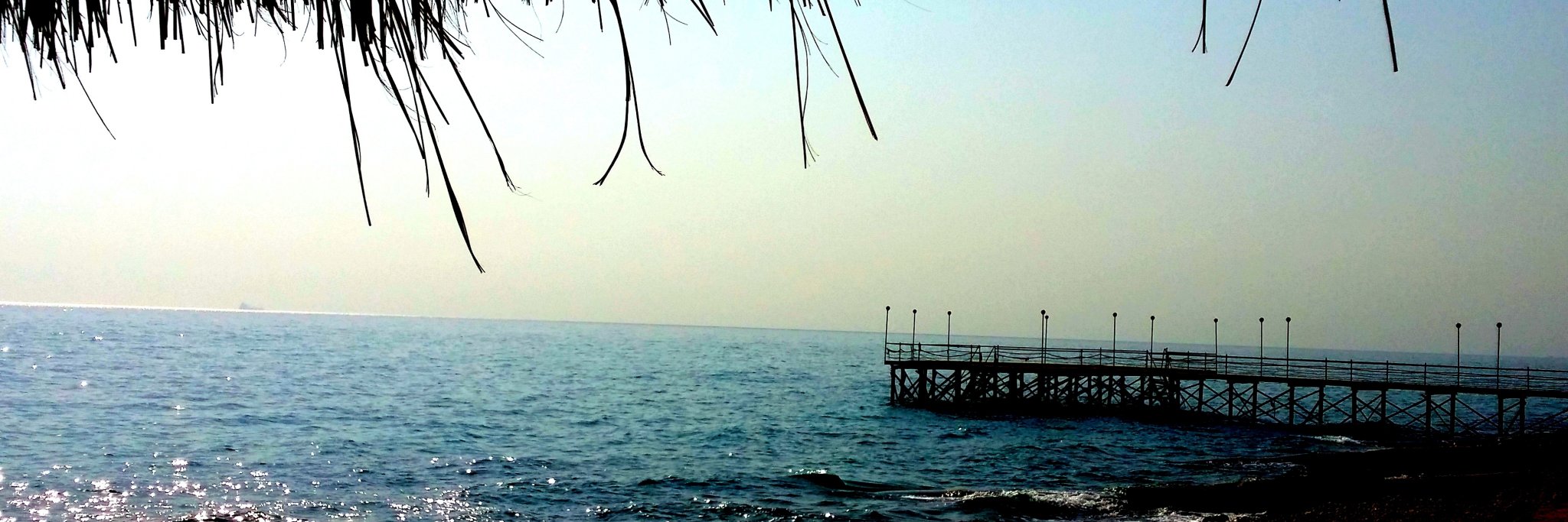 Tharwat007's profile banner image
