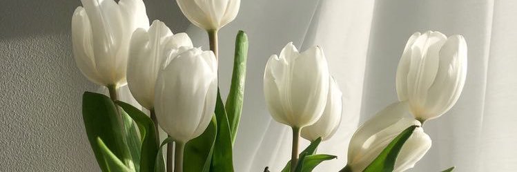 tainicol's profile banner image