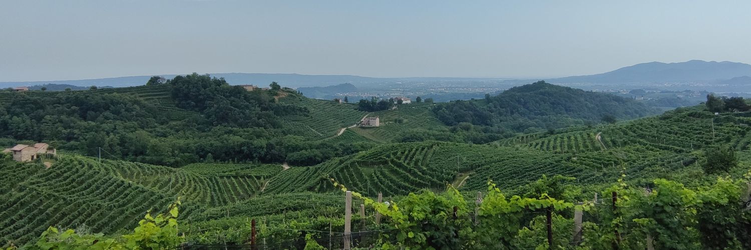 Alessandro Ruffini banner