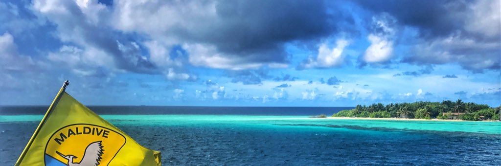 Francy_captain's profile banner image