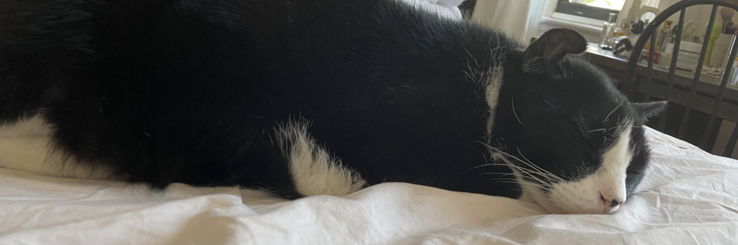 Catless cat lady banner