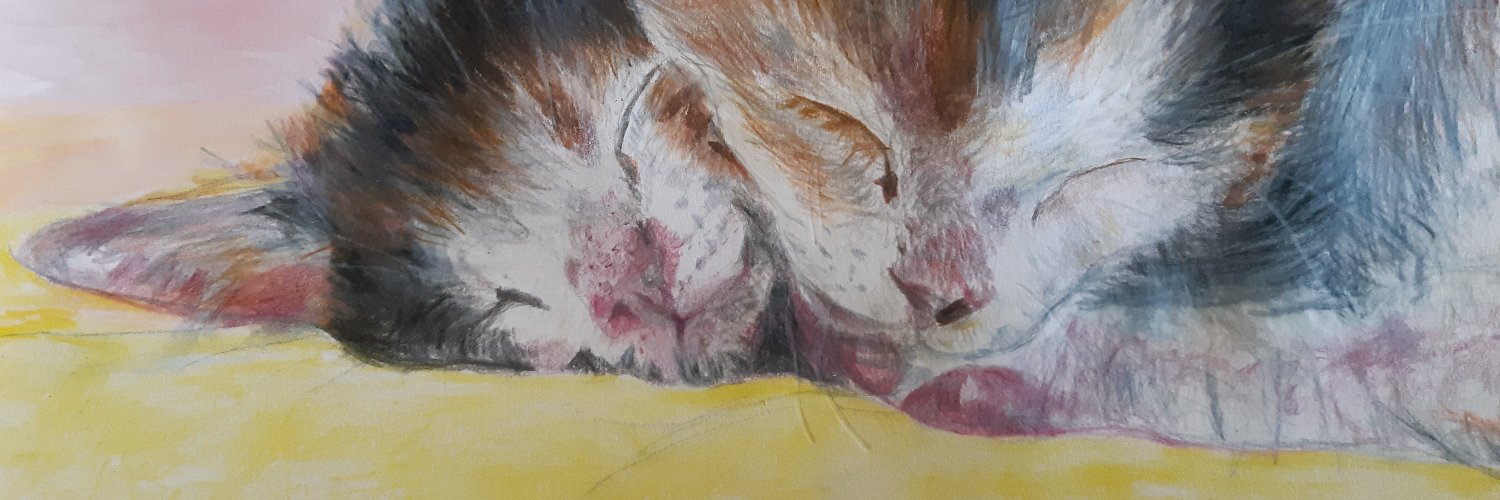 ColouredPet's profile banner image