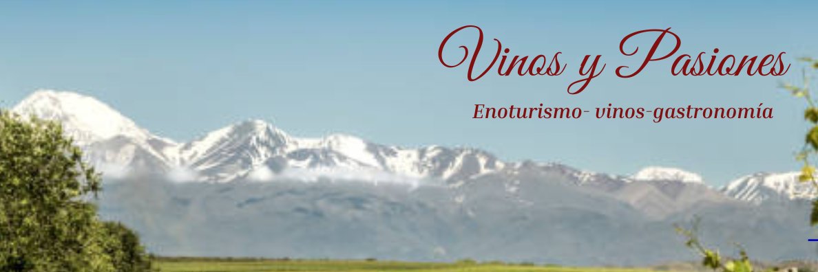 Vinos y Pasiones banner