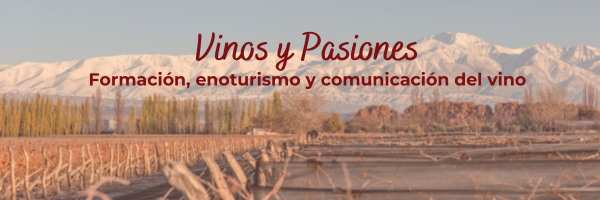 brunoveronica's profile banner image