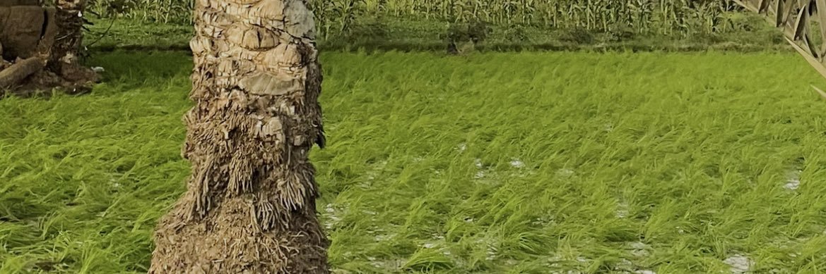 دام عزك ياوطن banner