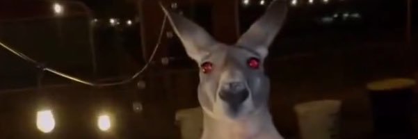 dorid0_'s profile banner image
