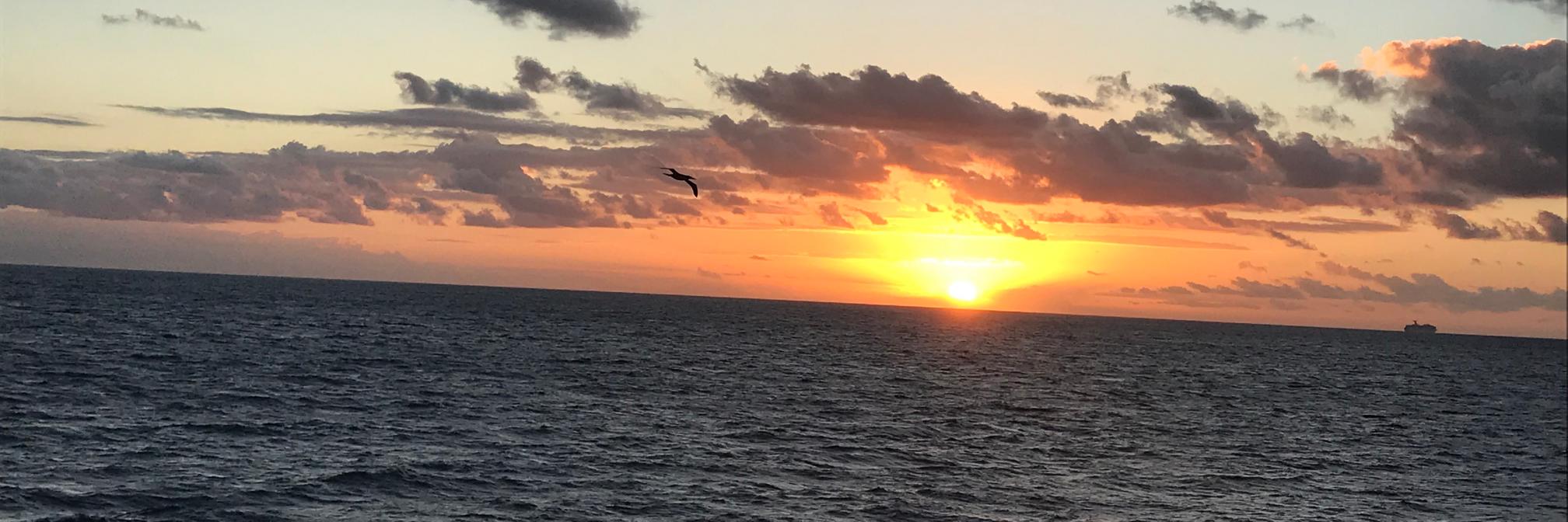 Jasmine Floyd, PhD banner