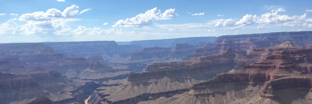 TigerFanInArkansas🤓 banner