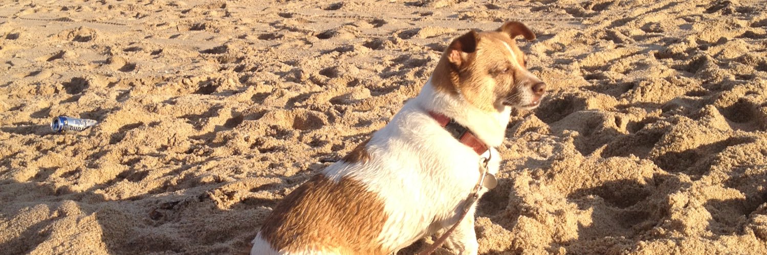 Issabel_D's profile banner image