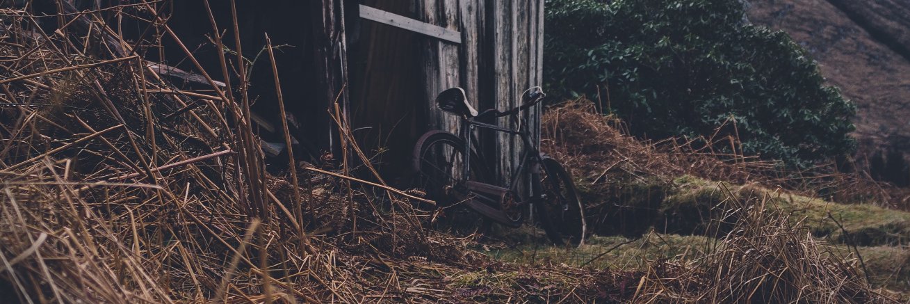 stevegotvibes's profile banner image