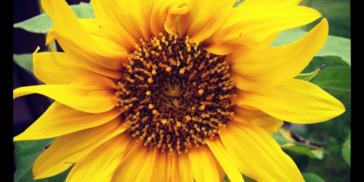 tanyamac73's profile banner image