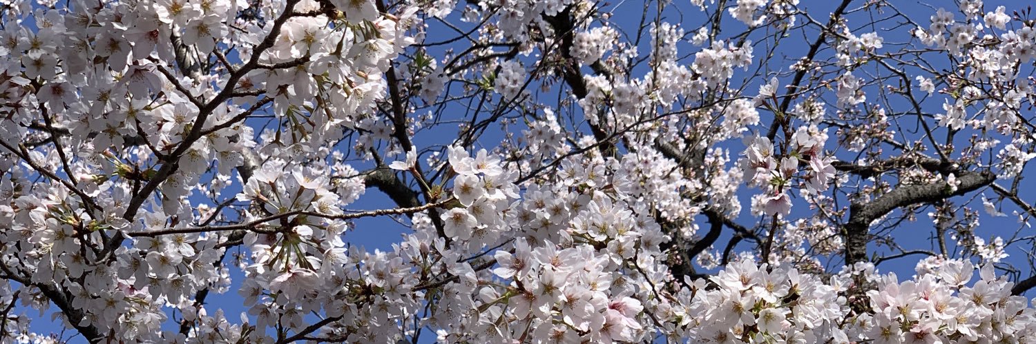 Man_Tokial's profile banner image