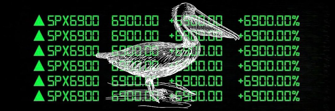 owlbehavior 💹🧲 banner