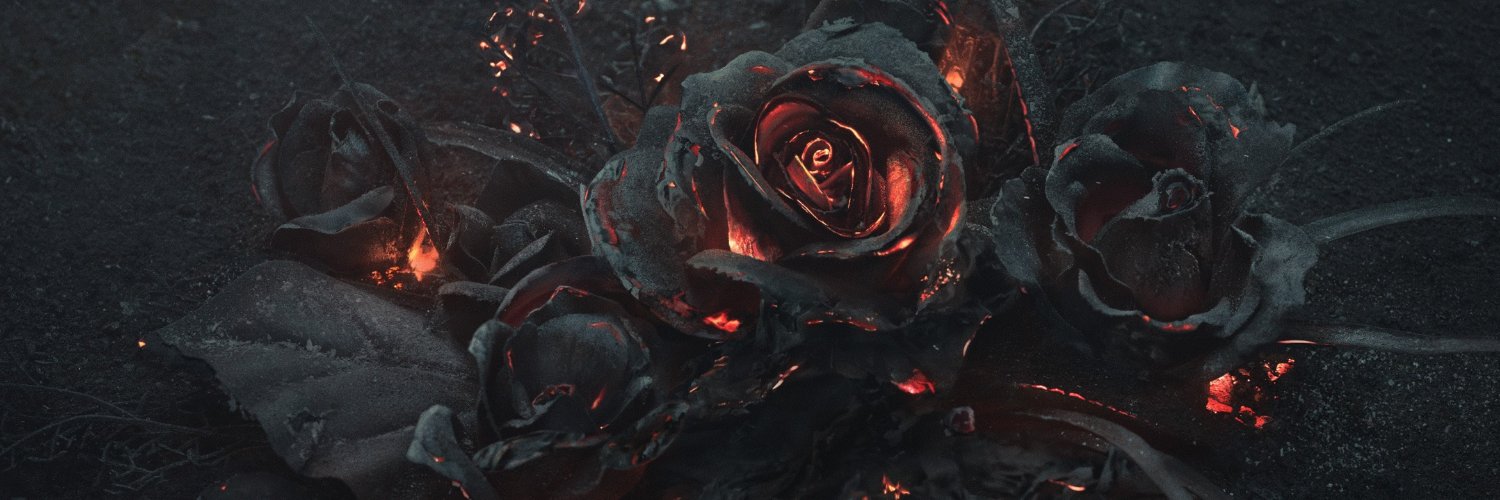 Haltroen's profile banner image
