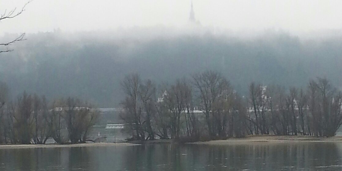 Dezemberlein's profile banner image