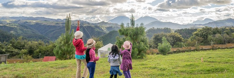 Project Somos banner