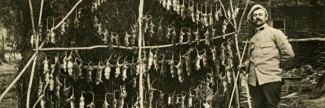 Ninja Medieval banner