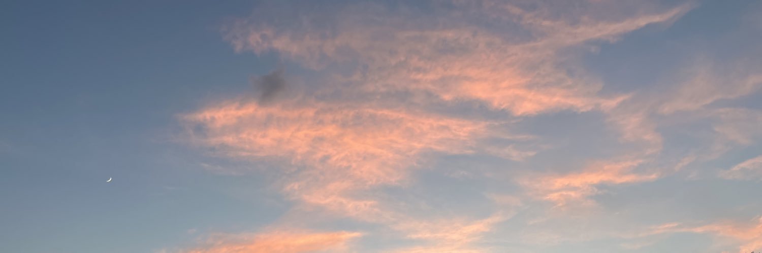 twinky boi banner