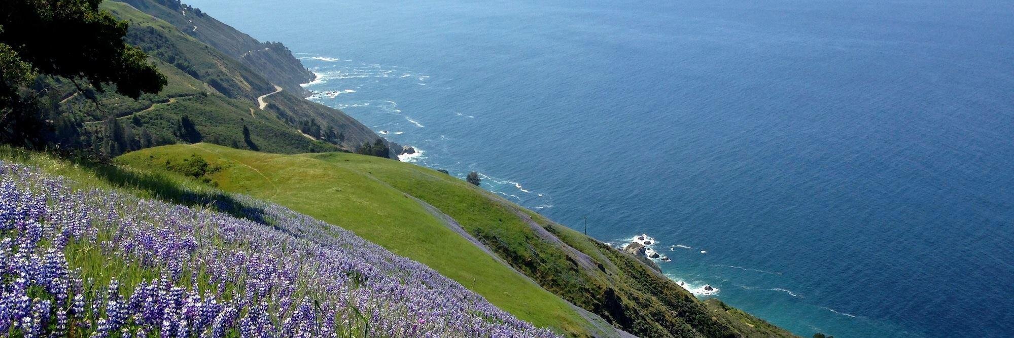 Big Sur banner