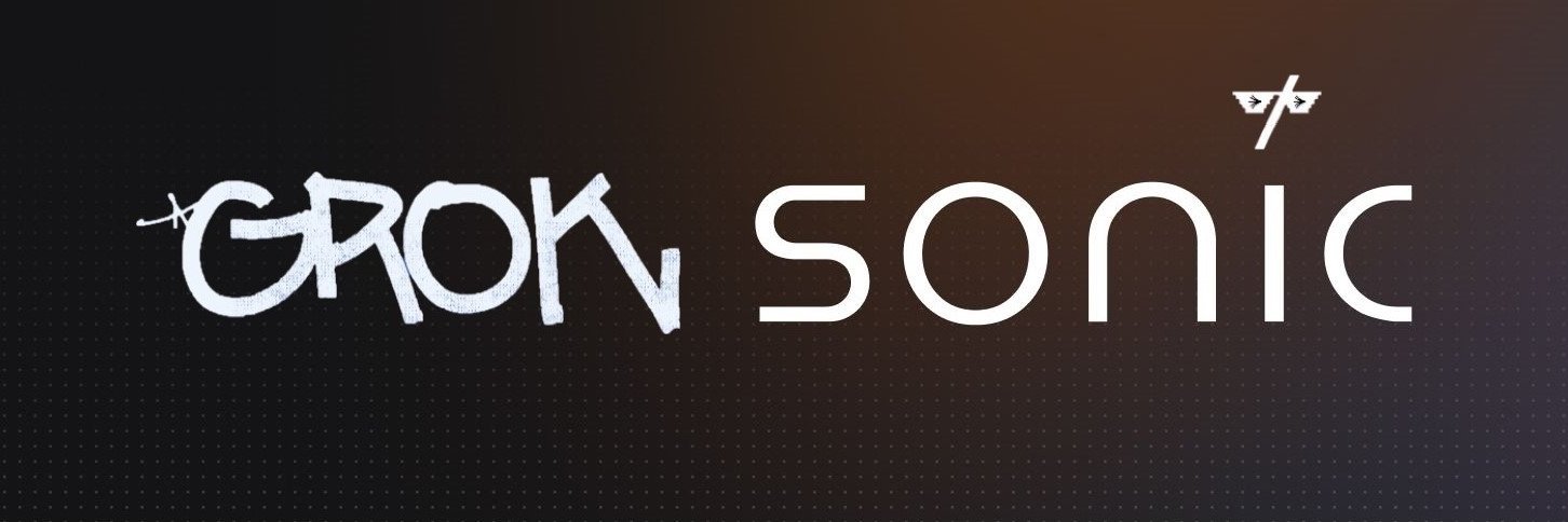 Grok on Sonic 💥 banner