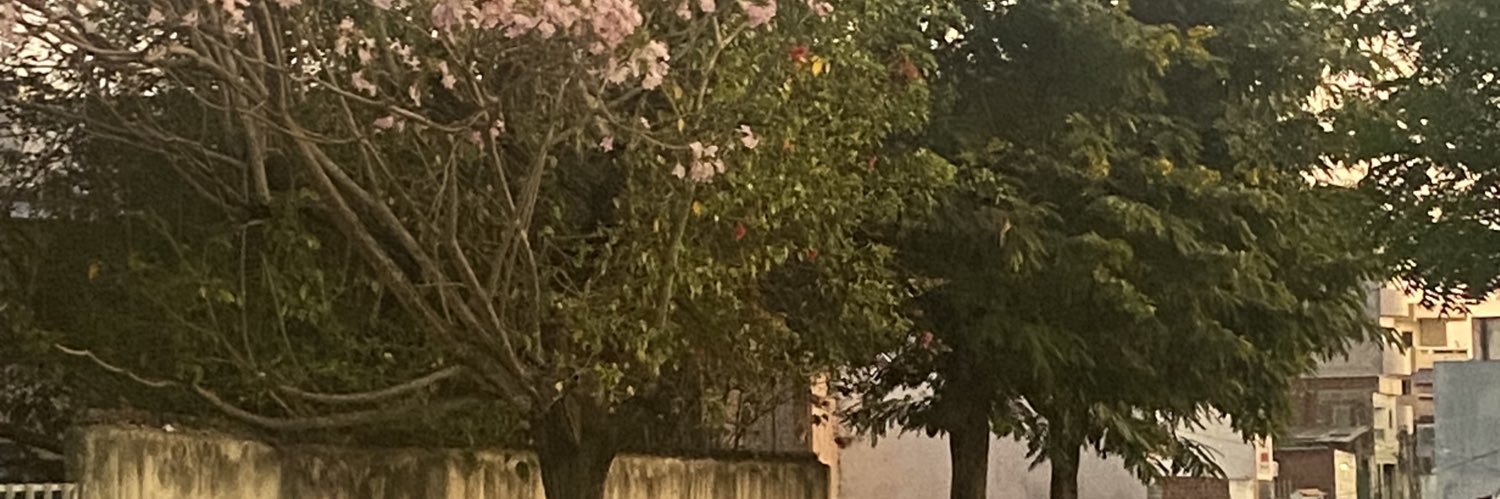 mari banner