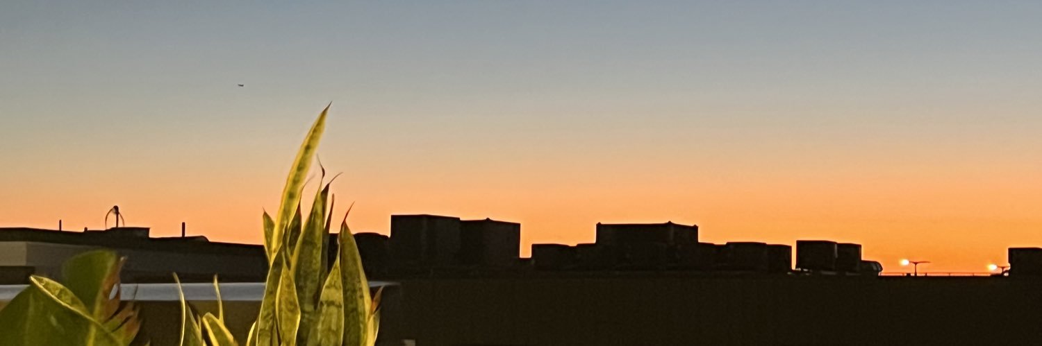 _lovelyylizz_'s profile banner image