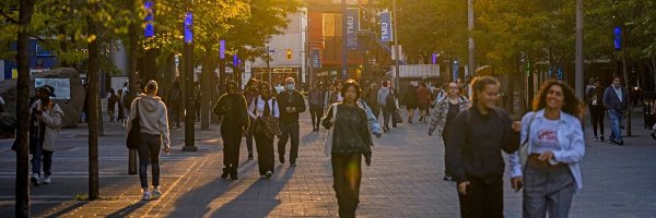 BridgDivides Profile Banner