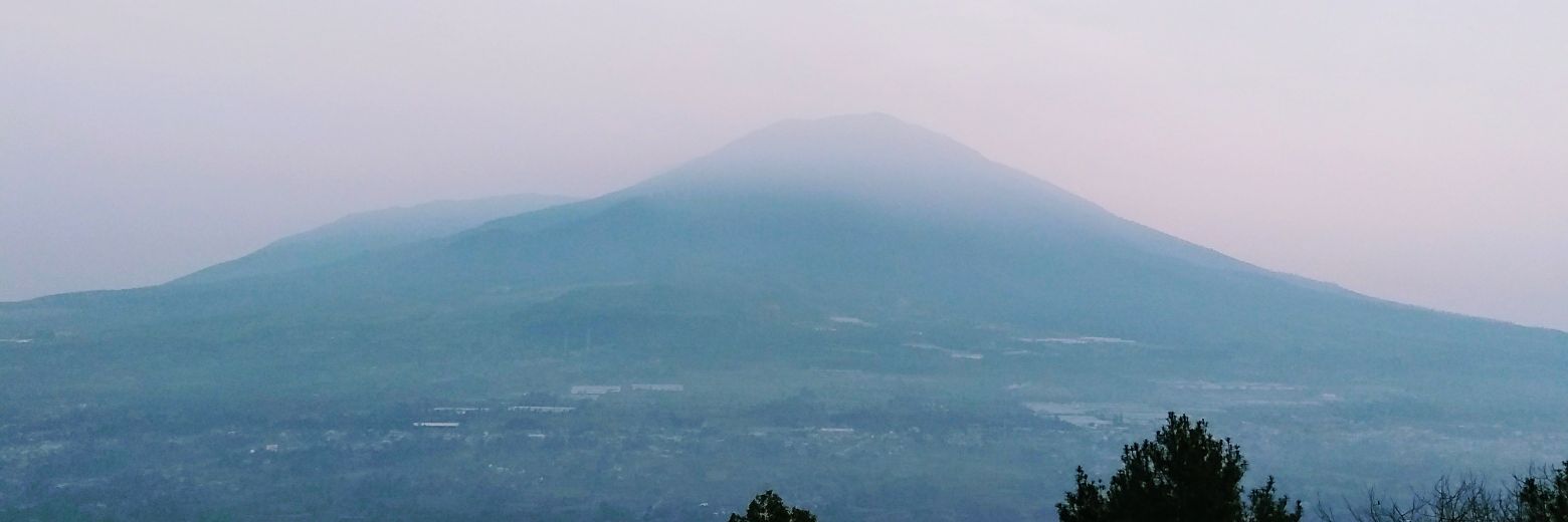 pollarizq's profile banner image