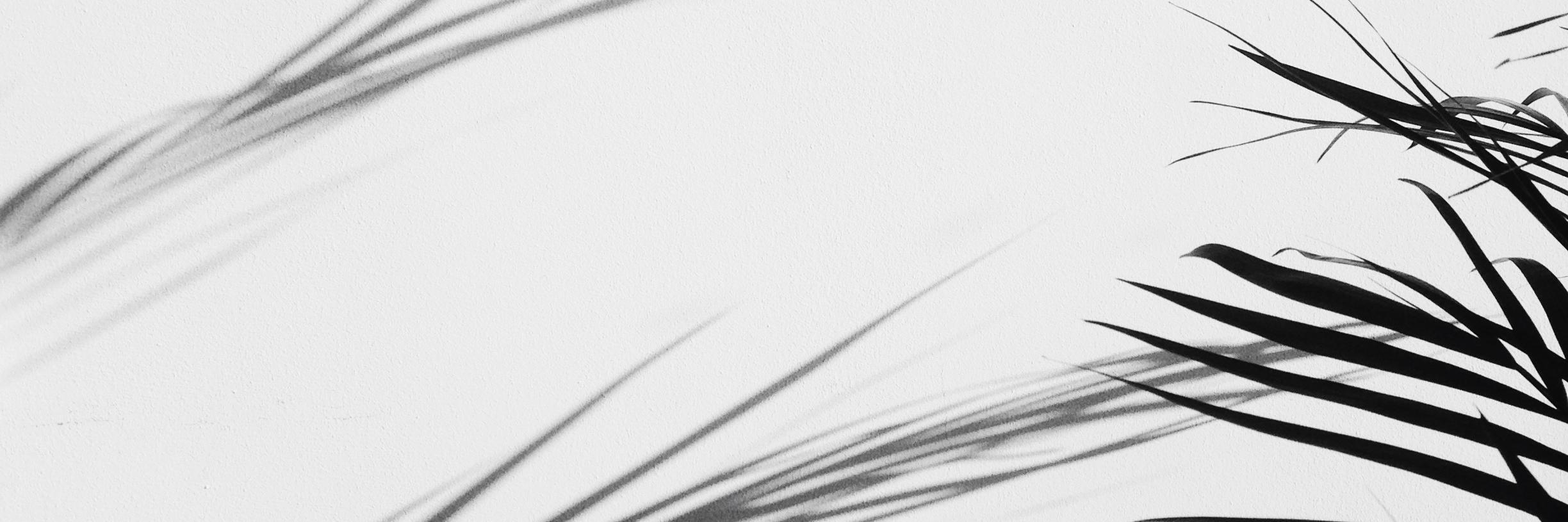 shula8's profile banner image