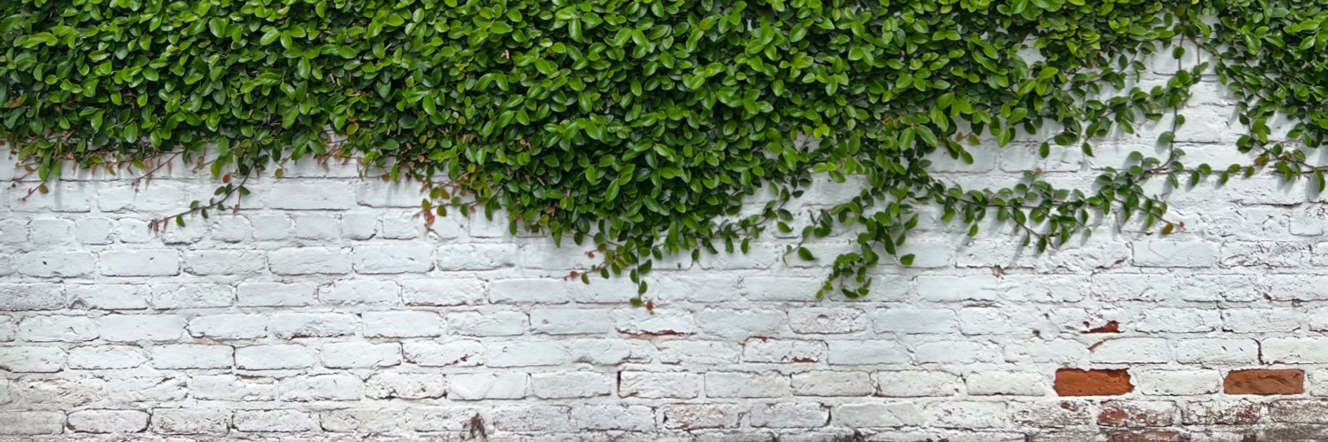 zstin's profile banner image