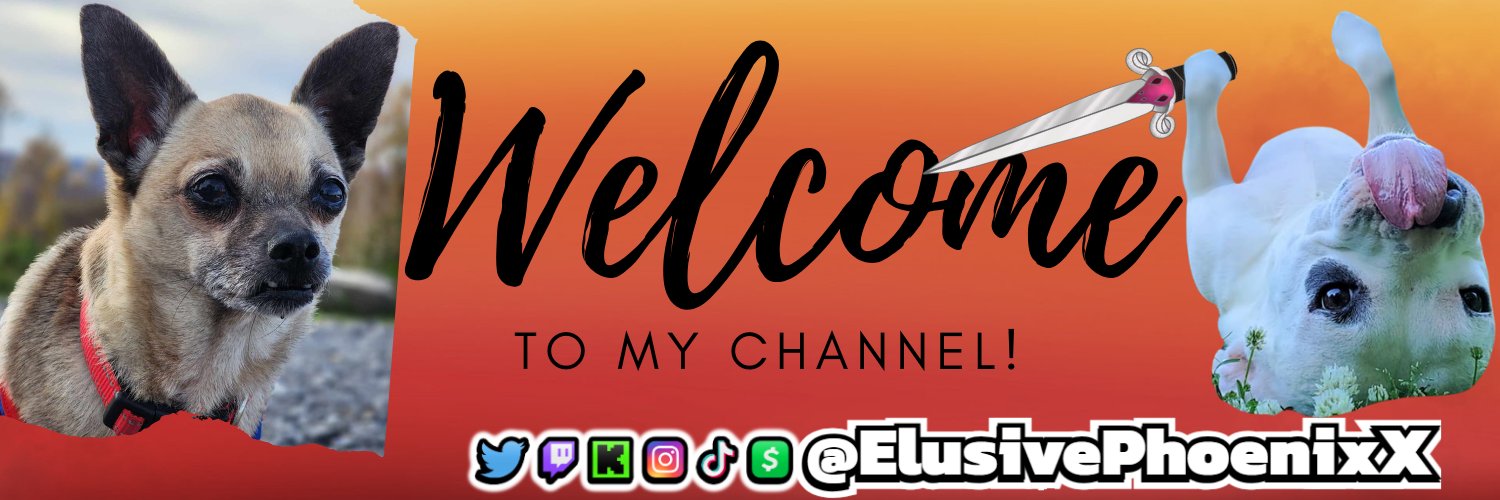 ElusivePhoenixX's profile banner image