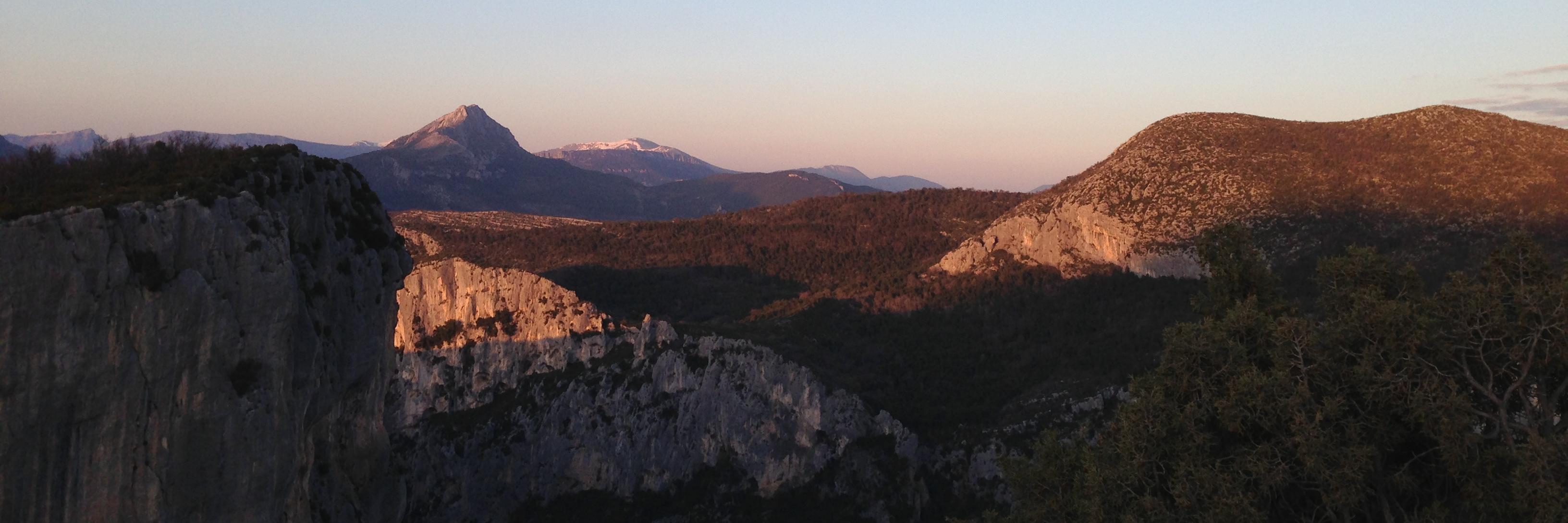 Courtney Hemphill banner