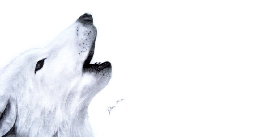 ilove072's profile banner image