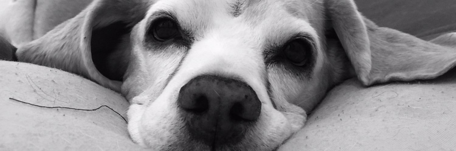 karsanchez98's profile banner image