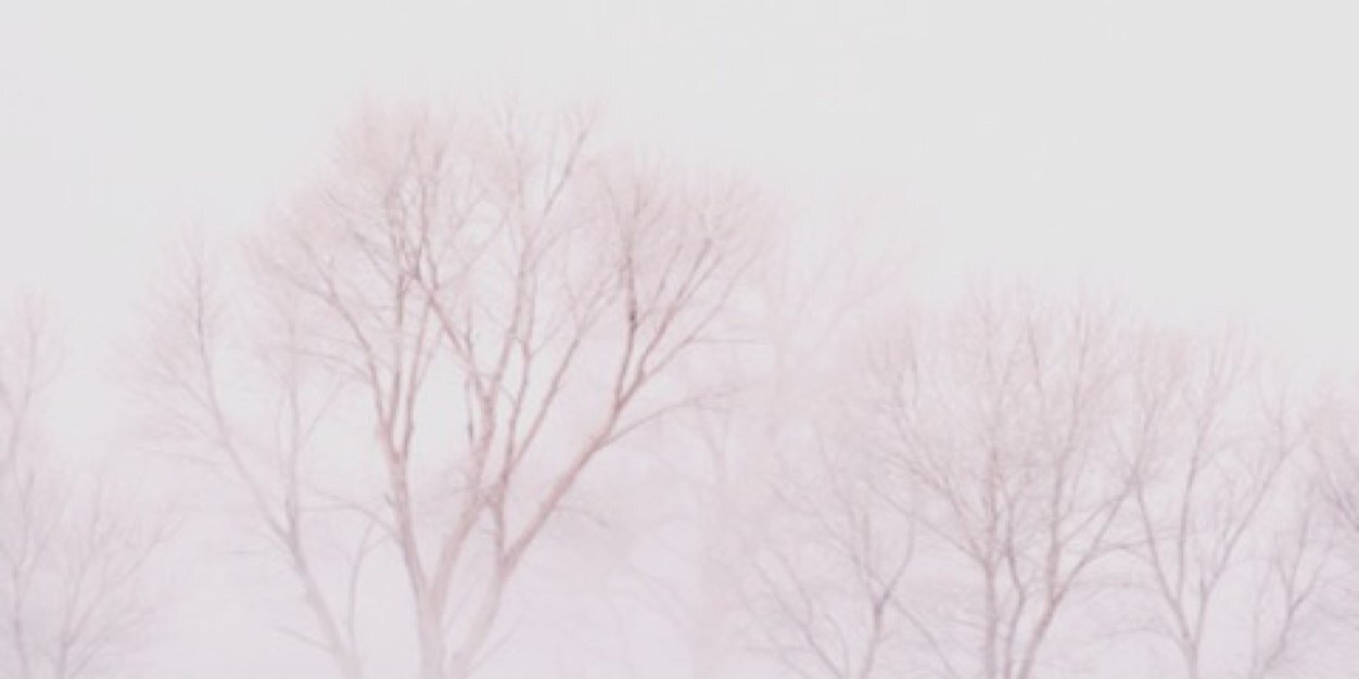 louberrycake's profile banner image