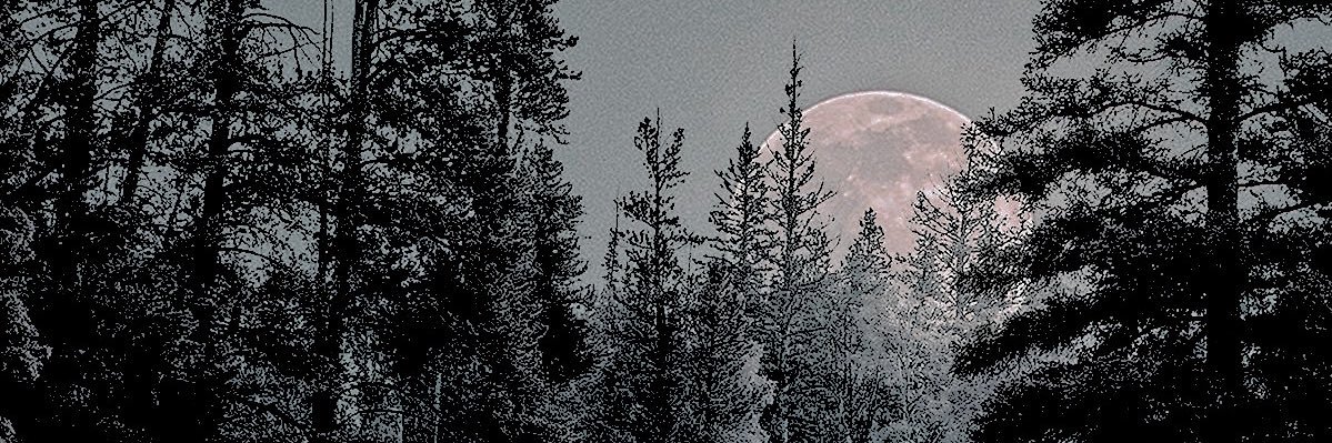 ˗ˏˋ 𝓒𝐨𝐧𝐨𝐫 .'s banner
