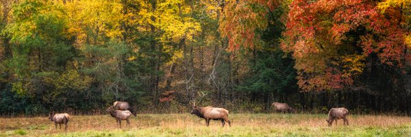 haywoodcountync Profile Banner