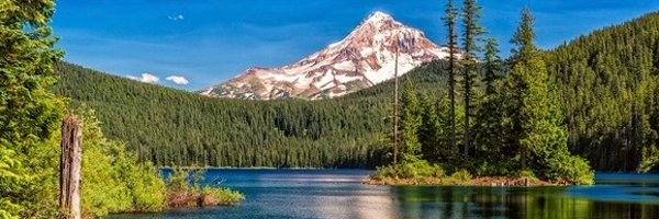 YourCabinDad Profile Banner