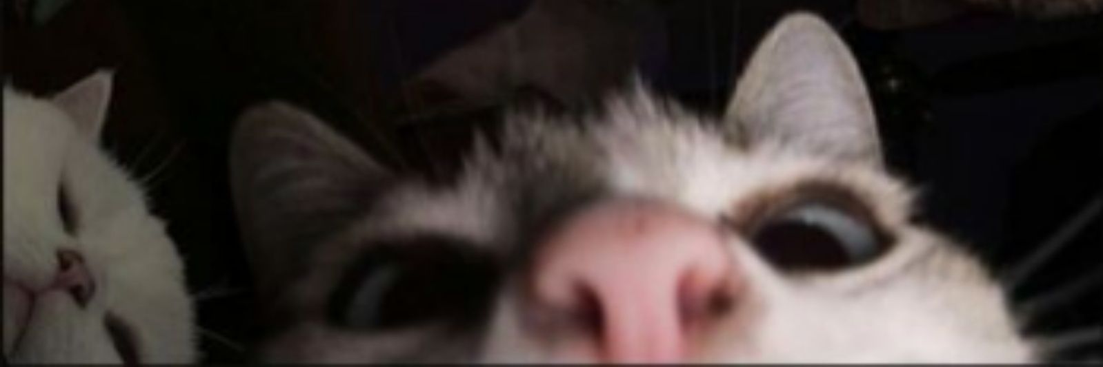 Rich_EM12_'s profile banner image