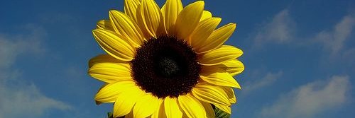 KellyAd82724166's profile banner image