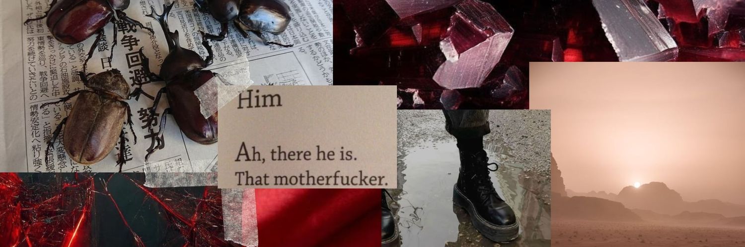 Daysofeuphoria💢 banner