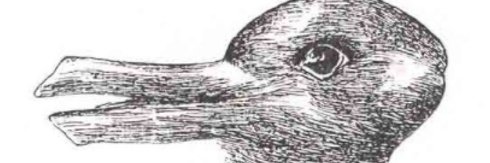 ccfdawg's profile banner image