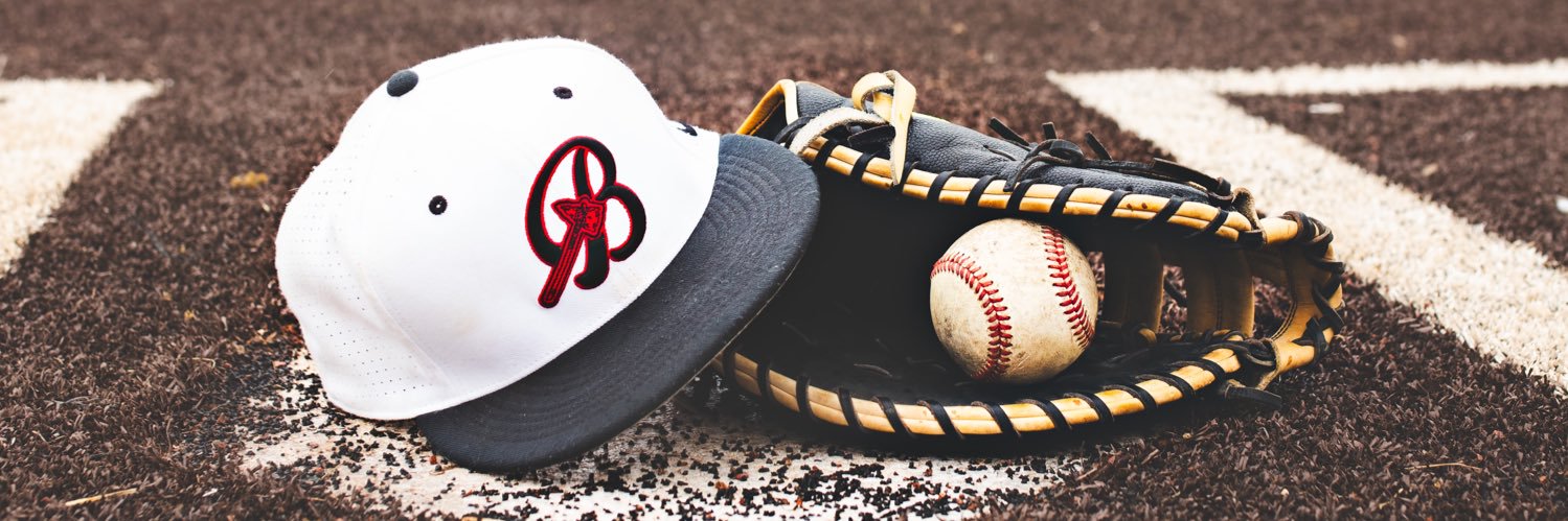 LE Braves Baseball banner