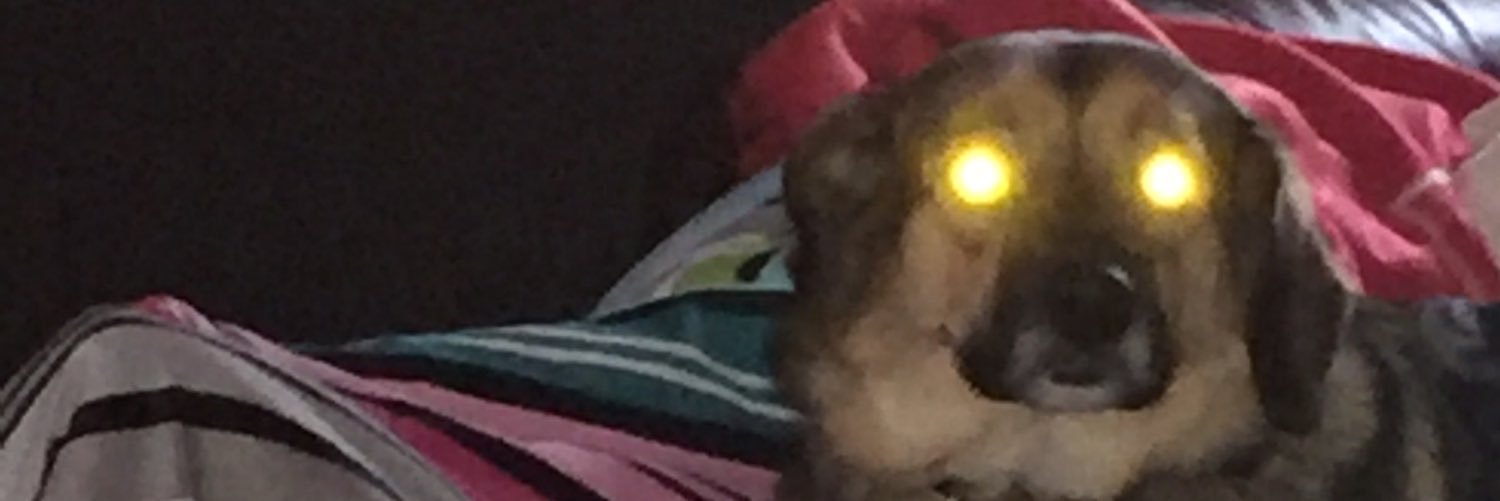 tcvlach's profile banner image