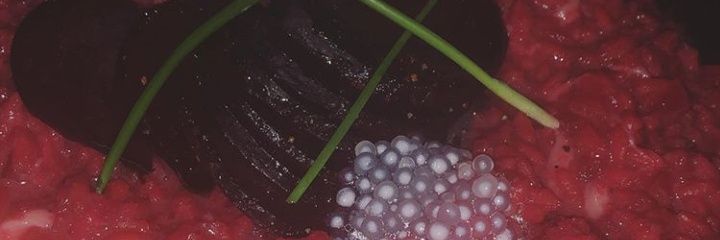 LucasTunechi7's profile banner image